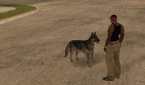 Коды на GTA San Andreas на собаку (+МОД)